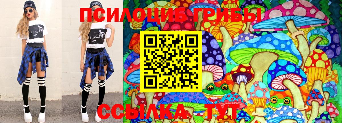 Кировск  закладки  Галлюциногенные грибы мухоморы  Вход с VPN  Галлюциногенные грибы мухоморы 